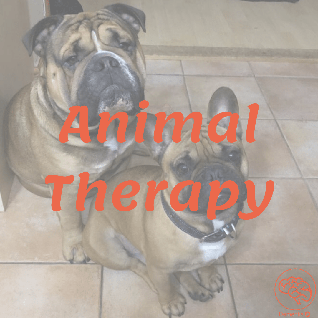Website-Animal-Therapy